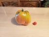 Re tomate